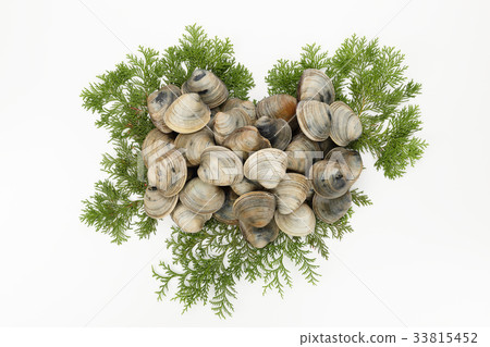 Honbinos shellfish Honbinos shellfish 33815452