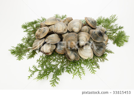Honbinos shellfish Honbinos shellfish 33815453