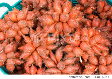 Red Fruit Salacca Red Fruit Salacca 33816044
