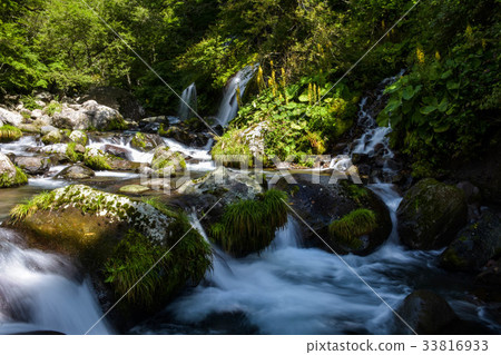 Clear stream in early autumn Clear stream in early autumn 33816933