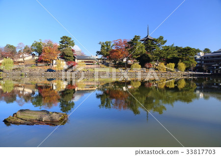 奈良秋天Sarusawa池塘 33817703
