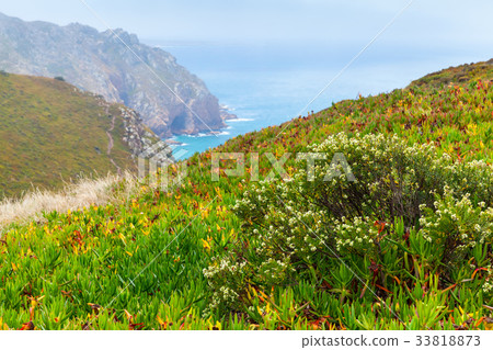 Coastal landscape of Cabo da Roca 33818873
