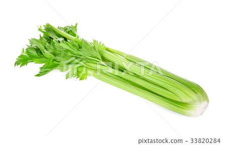 Celery isolated on white background Celery isolated on white background 33820284