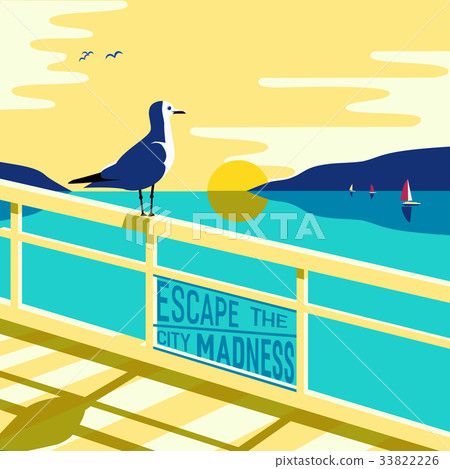seagull on seashore 33822226