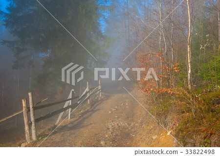 Countryside road trough misty forest 33822498