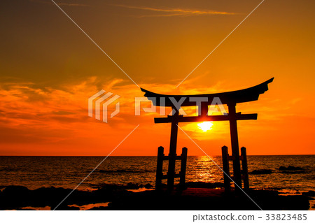 Hatsuyama Bei Kinara Hatsuyama Bei Kinara 33823485