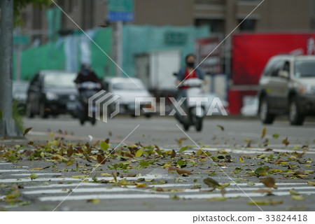 颱風 颱風 33824418