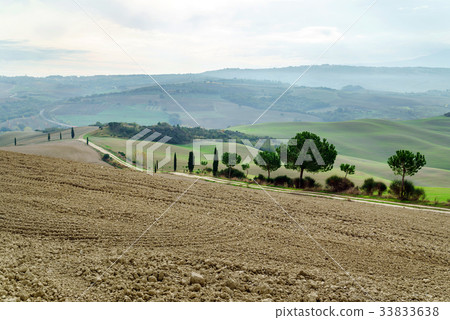 Tuscany landscape 33833638