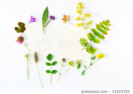 nature composition nature composition 33833783