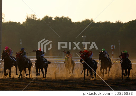 賽馬 33836888
