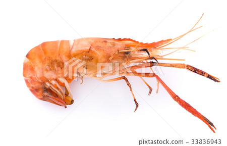 Grilled river shrimp isolated on white background Grilled river shrimp isolated on white background 33836943