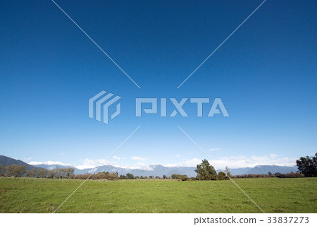 Hokitika Ranch-HOKITIKA South Island, New Zealand Hokitika Ranch-HOKITIKA South Island, New Zealand 33837273