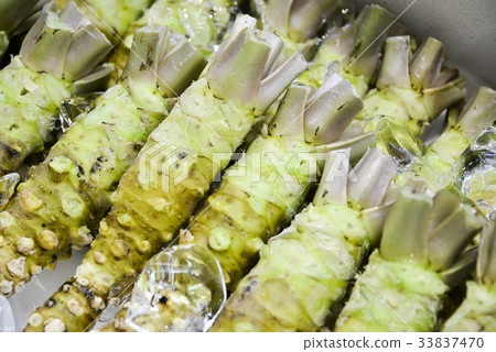 Wasabi Wasabi 33837470