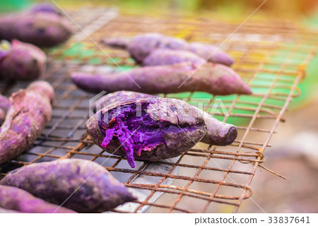 Traditional Japanese sweet potato roasted on stove Traditional Japanese sweet potato roasted on stove 33837641