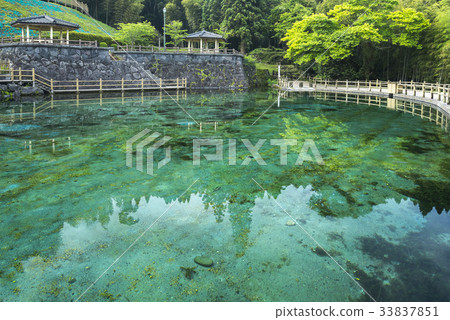 Kirishima Yamakada Maruike池塘泉水Maruike公園 Kirishima Yamakada Maruike池塘泉水Maruike公園 33837851