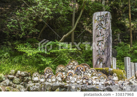 京都Ran Taniyama Fudo-inu 33837968