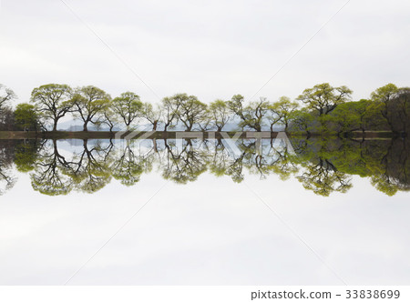 慶北市慶山市Bongokji 33838699