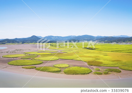 Suncheon Bay, Suncheon City, Jeonnam 33839076