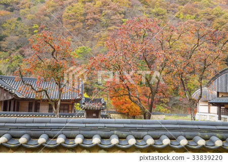 Baekyangsa Temple, Baekam Mountain, Changseong County, Jeonnam 33839220