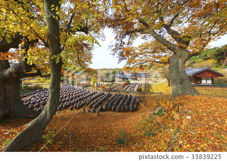 Jongdok,Yinhyeonghyeol,Nonsan,Chungnam Jongdok,Yinhyeonghyeol,Nonsan,Chungnam 33839225