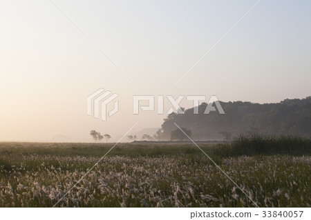 Wooshin-do, Hwaseong-si, Gyeonggi-do 33840057