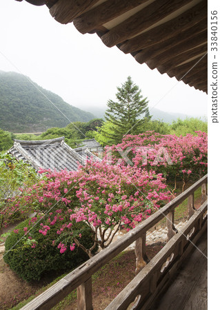 Man Daewoo, Bongsan Seowon (Historic Site No. 260), Andong City, Gyeongbuk Province 33840156