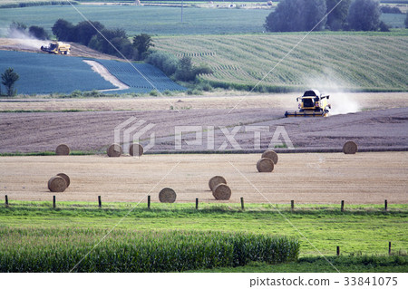 Agriculture Agriculture 33841075