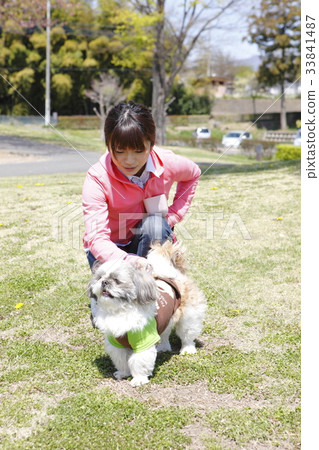 A woman walking a dog A woman walking a dog 33841487