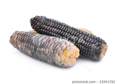 waxy corn, tropical plants isolated on white waxy corn, tropical plants isolated on white 33841782