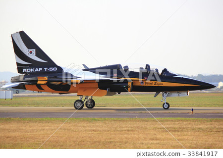 黑鷹,T-50,京畿安山航空戰爭,水原,京畿道 黑鷹,T-50,京畿安山航空戰爭,水原,京畿道 33841917