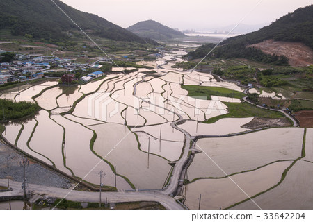 Myo-do, Yeosu, Jeonnam 33842204