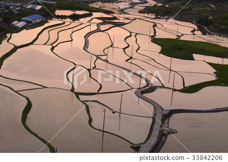 Myo-do, Yeosu, Jeonnam 33842206