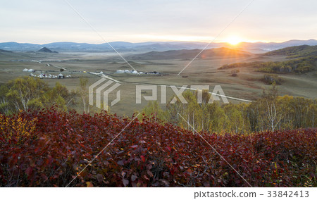 Ger, Birch, Inner Mongolia, China 33842413