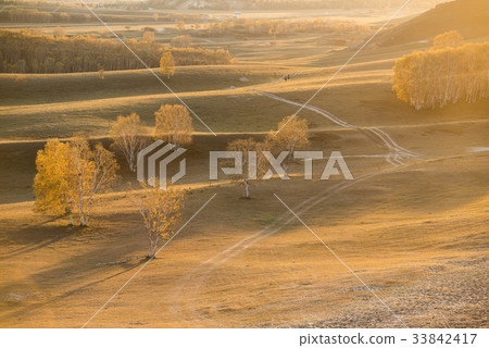 Horseback Riding, Birch, Inner Mongolia, China 33842417