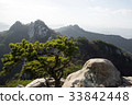松，Dobongsan，Dobong-gu，首爾 33842448