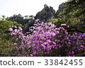 杜鵑花，Dobongsan，Dobong-gu，首爾 33842455