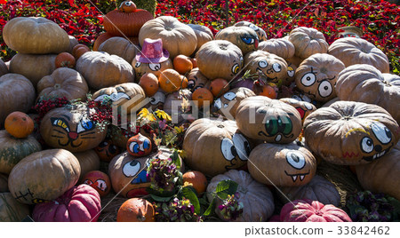 Pumpkin, Everland, Yongin-si, Gyeonggi-do Pumpkin, Everland, Yongin-si, Gyeonggi-do 33842462