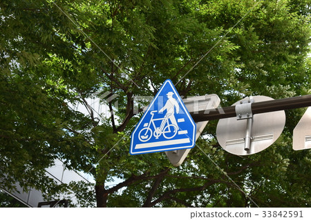 路標行人穿越道，自行車橫穿 33842591