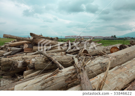 九州北部暴雨引起的浮木堆積區3 33846622