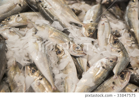 PORTUGAL ALGARVE LOULE OLD CITY MARKET 33847575