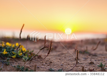 Minimalistic landscape of the macro sunset. 33848112