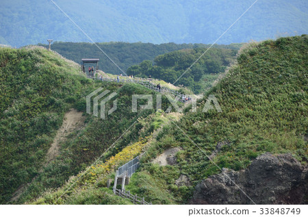 Shinko Shinko Shinko Shinko 33848749