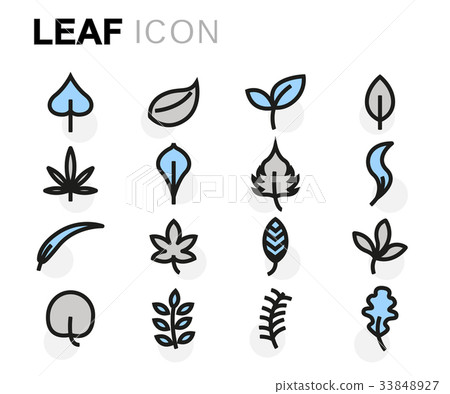 Vector flat leaf icons set Vector flat leaf icons set 33848927