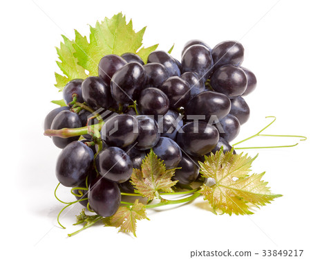 bunch of blue grapes with leaf isolated on white 33849217