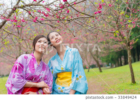 beauty elegant female travelers looking at sakura beauty elegant female travelers looking at sakura 33849424