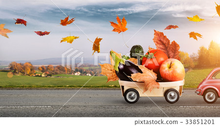 Autumn food delivery 33851201