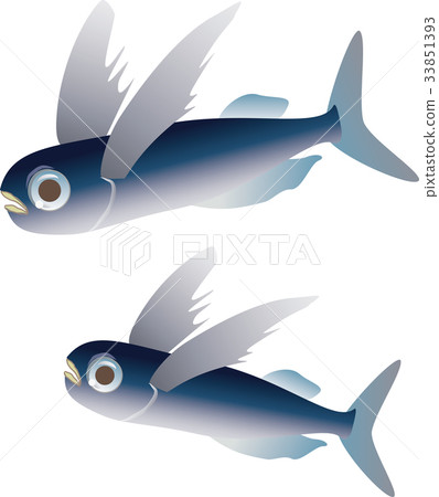 Flying fish 33851393