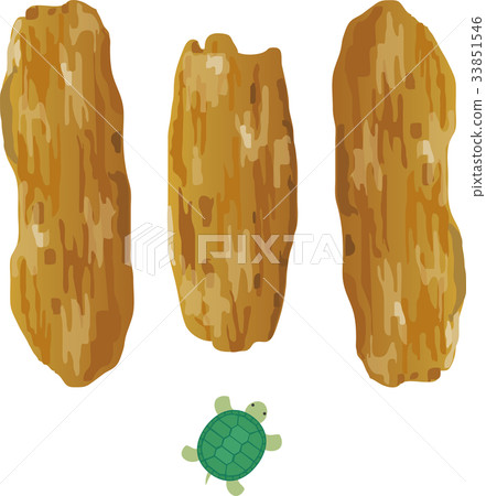 Dried salmon and turtle 33851546