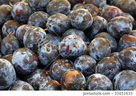 Fresh ripe blue plums close up at farmers market Fresh ripe blue plums close up at farmers market 33851633