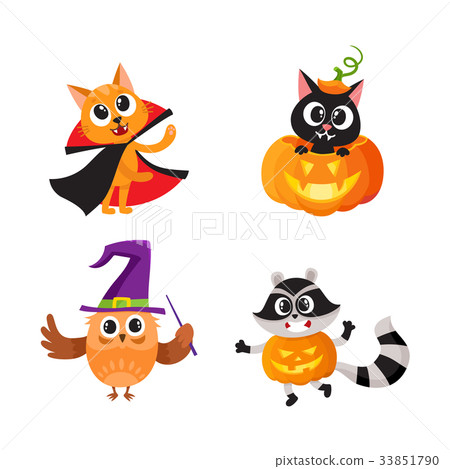 Cat, kitten owl and raccoon in Halloween costumes 33851790